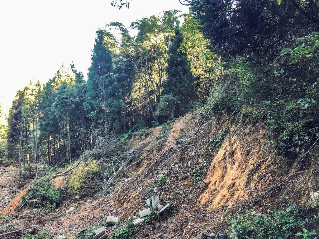 大分県日田市の斜面崩壊によって消失した林道