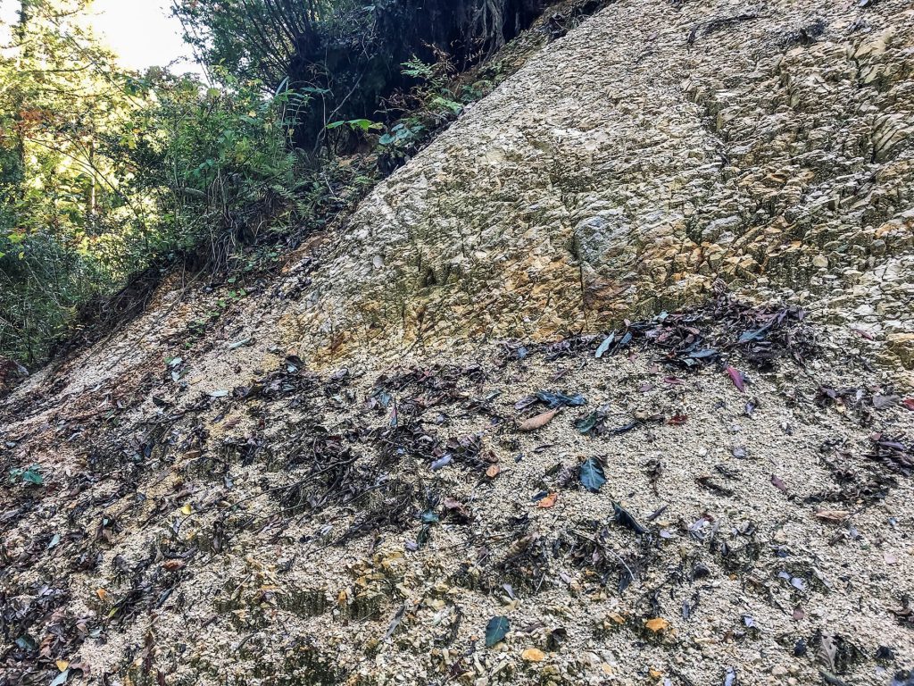 大分県日田市の被害斜面に現れた土肌（通気性、浸透性は悪く見える）