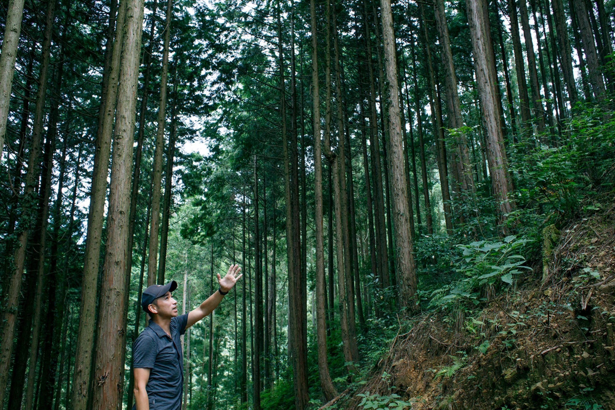 日本の林業は明るい 30年後の結果のために今日の仕事をする 東京チェンソーズ が感じる希望とは キノマチウェブ